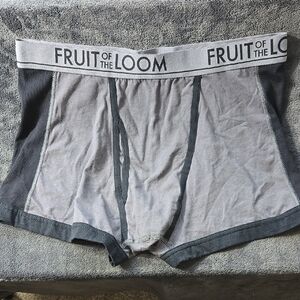 Fruit of the Loom Gray and Black Boxer Briefs with Contoured Pouch